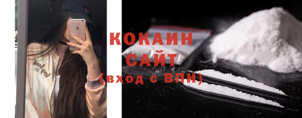 ГАЛЛЮЦИНОГЕННЫЕ ГРИБЫ Арсеньев