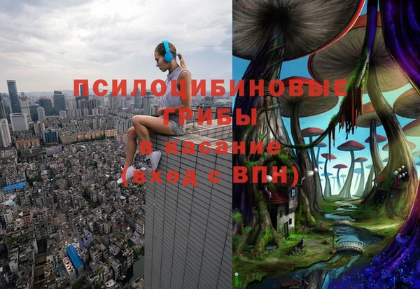 трава Аркадак