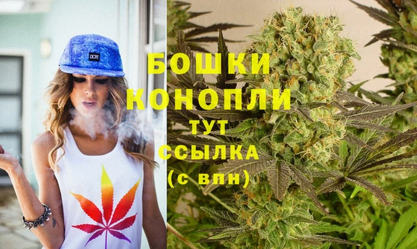ГАЛЛЮЦИНОГЕННЫЕ ГРИБЫ Арсеньев