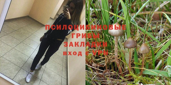 ГАЛЛЮЦИНОГЕННЫЕ ГРИБЫ Арсеньев