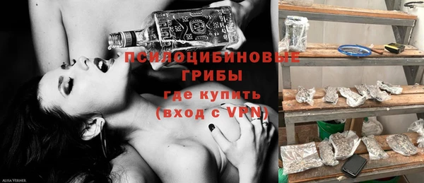ГАЛЛЮЦИНОГЕННЫЕ ГРИБЫ Арсеньев