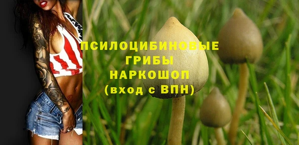 первитин Армянск