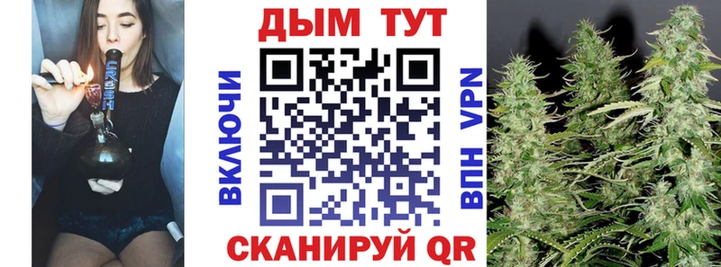 продажа наркотиков  Губкинский  Шишки марихуана марихуана 